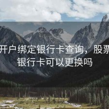 股票开户绑定银行卡查询，股票开户银行卡可以更换吗