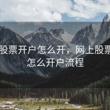 网上股票开户怎么开，网上股票开户怎么开户流程