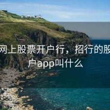 招行网上股票开户行，招行的股票开户app叫什么