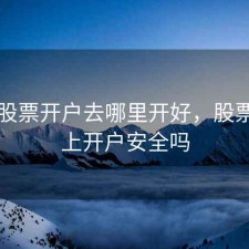 网上股票开户去哪里开好，股票在网上开户安全吗
