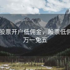 苏州股票开户低佣金，股票低佣开户万一免五