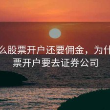 为什么股票开户还要佣金，为什么股票开户要去证券公司