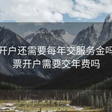 股票开户还需要每年交服务金吗，股票开户需要交年费吗