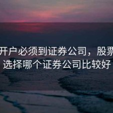 股票开户必须到证券公司，股票开户选择哪个证券公司比较好