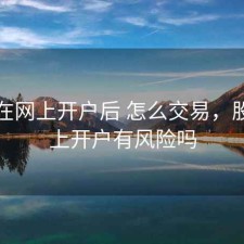 股票在网上开户后 怎么交易，股票网上开户有风险吗