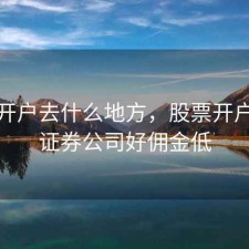 股票开户去什么地方，股票开户哪家证券公司好佣金低