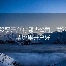 武汉股票开户有哪些公司，武汉买股票哪里开户好