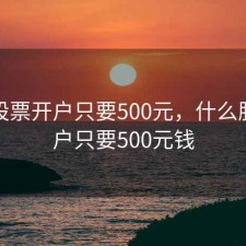 什么股票开户只要500元，什么股票开户只要500元钱