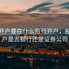 股票开户要在什么银行开户，股票开户是去银行还是证券公司