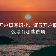 股票开户填写职业，证券开户职业怎么填有哪些选项