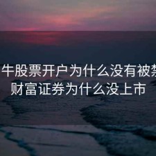 财富牛股票开户为什么没有被禁止，财富证券为什么没上市