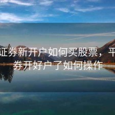 平安证券新开户如何买股票，平安证券开好户了如何操作