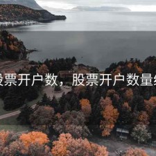 月股票开户数，股票开户数量统计