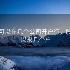 股票可以在几个公司开户行，股票可以来几个户