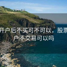 股票开户后不买可不可以，股票开了户不交易可以吗