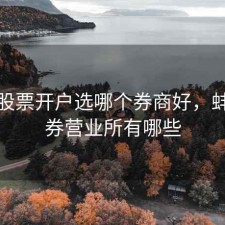 蚌埠股票开户选哪个券商好，蚌埠证券营业所有哪些