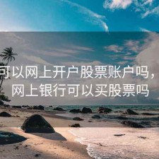 建行可以网上开户股票账户吗，建行网上银行可以买股票吗