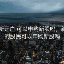 股票新开户 可以申购新股吗，新开户的股民可以申购新股吗