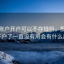 股票账户开户可以不存钱吗，股票账户开户了一直没有用会有什么后果
