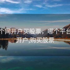 在哪个网开户买股票，哪个平台可以开户,购买股票
