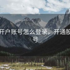 股票开户账号怎么登录，开通股票帐号