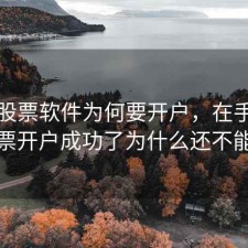 手机股票软件为何要开户，在手机上股票开户成功了为什么还不能买