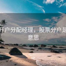 股票开户分配经理，股票分户是什么意思