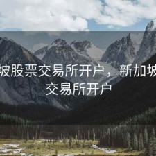 新加坡股票交易所开户，新加坡证券交易所开户