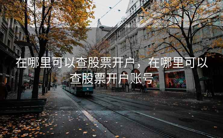 在哪里可以查股票开户，在哪里可以查股票开户账号  第1张