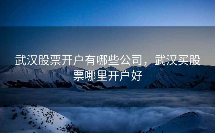武汉股票开户有哪些公司,武汉买股票哪里开户好 第1张 武汉股票开户有哪些公司,武汉买股票哪里开户好 第1张
