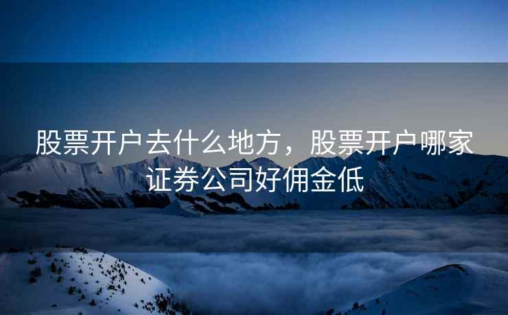 股票开户去什么地方，股票开户哪家证券公司好佣金低  第2张