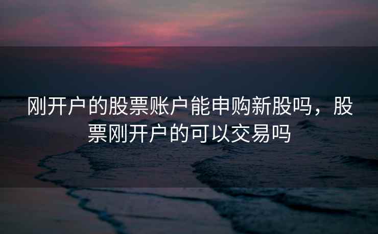 刚开户的股票账户能申购新股吗，股票刚开户的可以交易吗  第1张
