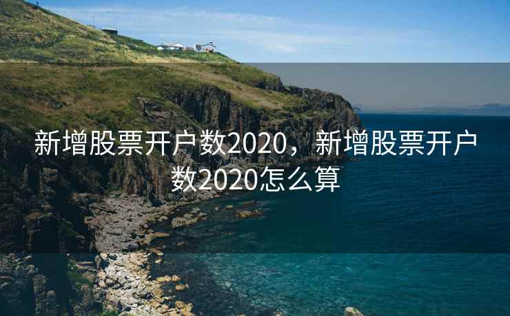 新增股票开户数2020，新增股票开户数2020怎么算  第2张
