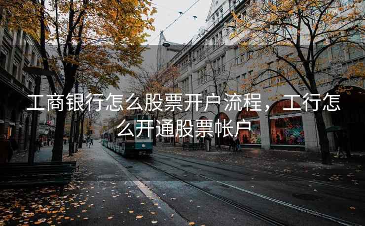 工商银行怎么股票开户流程，工行怎么开通股票帐户  第1张