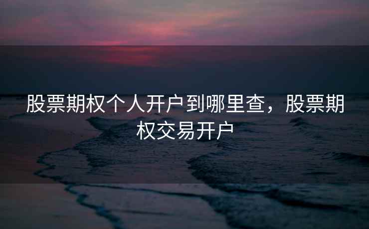 股票期权个人开户到哪里查，股票期权交易开户  第1张