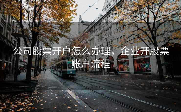 公司股票开户怎么办理，企业开股票账户流程  第2张