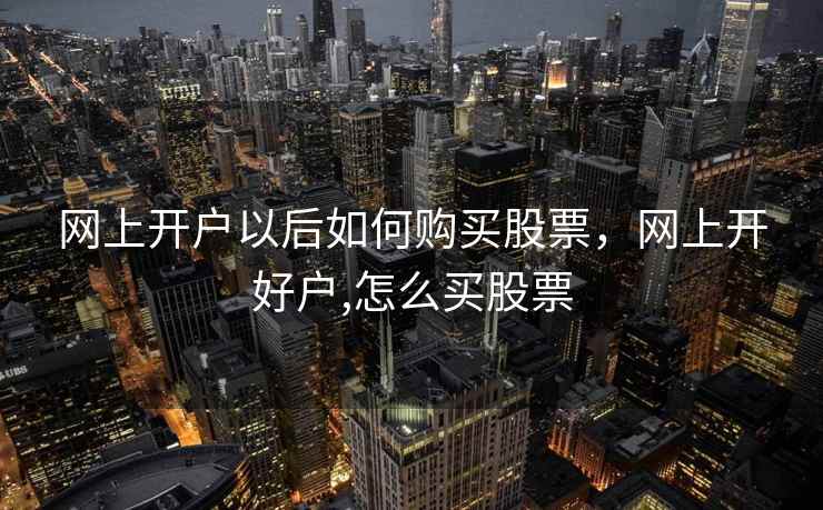 网上开户以后如何购买股票，网上开好户,怎么买股票  第1张