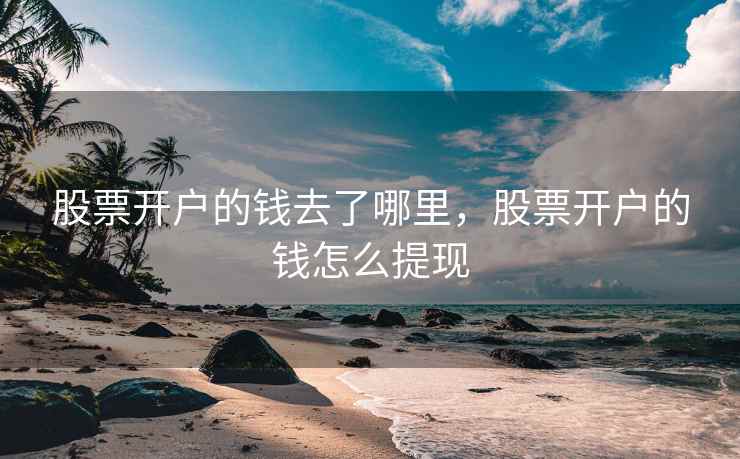 股票开户的钱去了哪里，股票开户的钱怎么提现  第2张