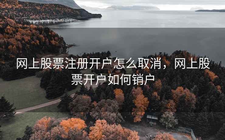 网上股票注册开户怎么取消，网上股票开户如何销户  第1张