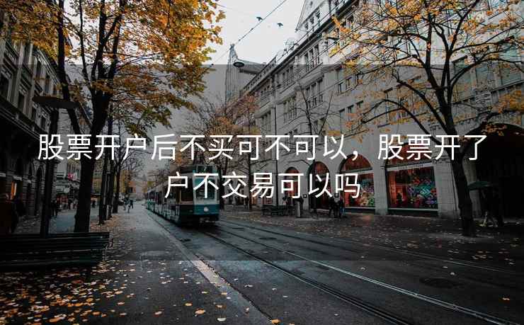 股票开户后不买可不可以，股票开了户不交易可以吗  第2张