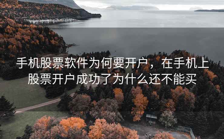 手机股票软件为何要开户，在手机上股票开户成功了为什么还不能买  第1张