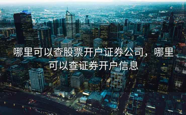 哪里可以查股票开户证券公司,哪里可以查证券开户信息 第2张 哪里可以查股票开户证券公司,哪里可以查证券开户信息 第2张