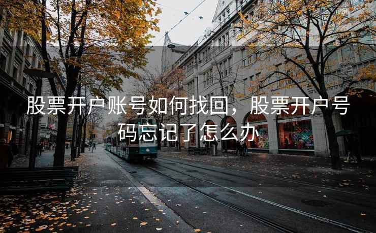 股票开户账号如何找回，股票开户号码忘记了怎么办  第1张