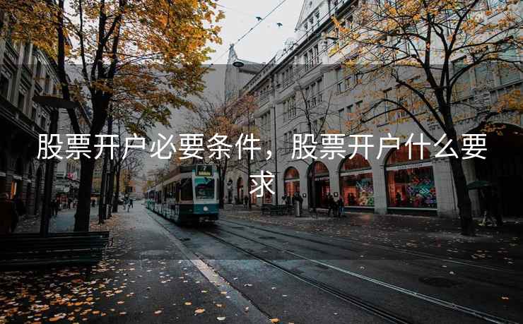 股票开户必要条件，股票开户什么要求  第1张