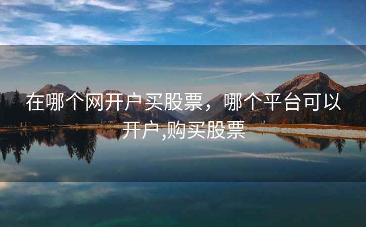 在哪个网开户买股票,哪个平台可以开户,购买股票 在哪个网开户买股票,哪个平台可以开户,购买股票