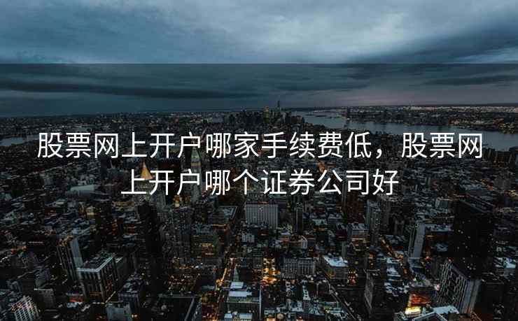 股票网上开户哪家手续费低，股票网上开户哪个证券公司好  第2张
